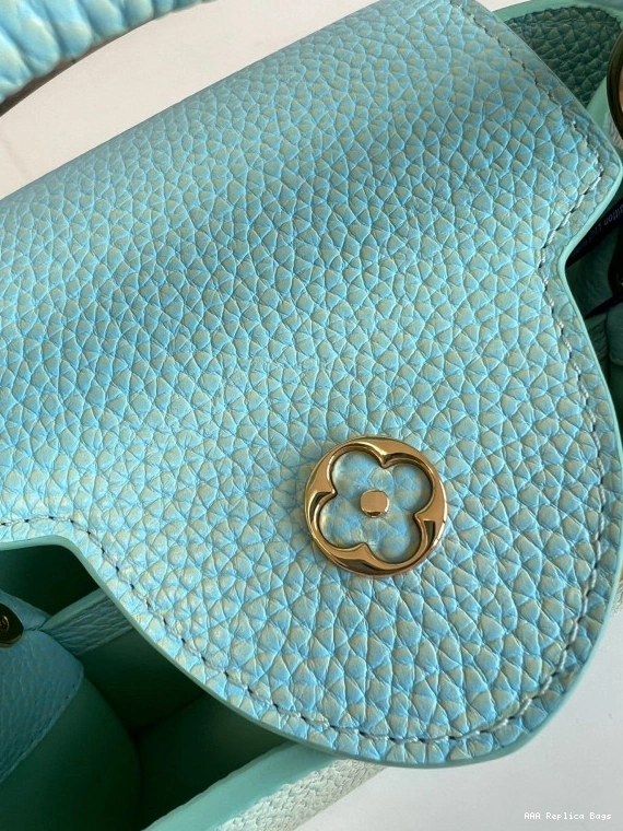 Aaa replica bags VUITTON BB LOUIS CAPUCINES 0807